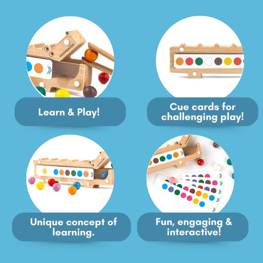 Cots and Cuddles Wooden Crocodile Snap N Sort Color Sorting Toy for Kids Age 3+