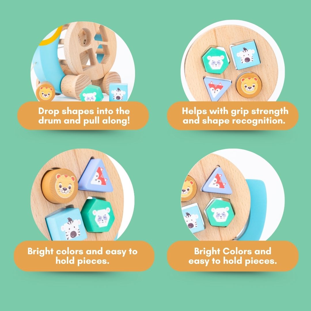 Cots and Cuddles Wooden Pull Along Sloth with Shape Sorter for Kids